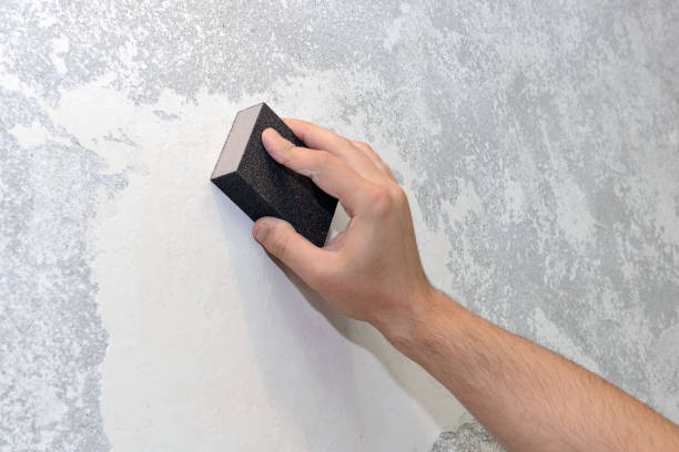 Best Biohazard Mold Removal  in Wellington, CO