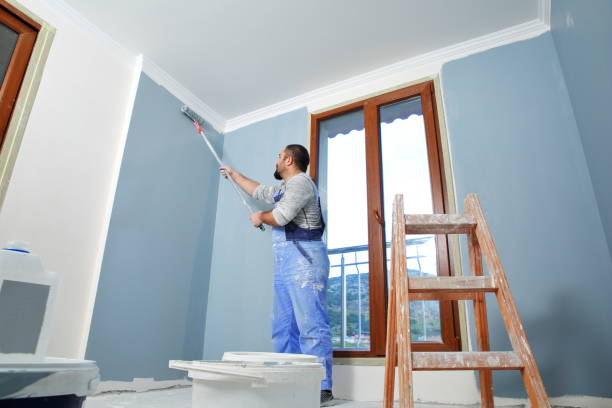 Professional Mold Removal in Wellington, CO
