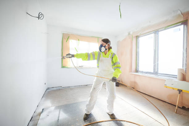 Best Mold Prevention Services  in Wellington, CO