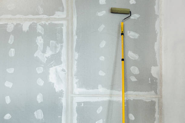 Mold Removal for HVAC Installations in Wellington, CO