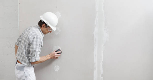 Trusted Wellington, CO Mold Removal Experts