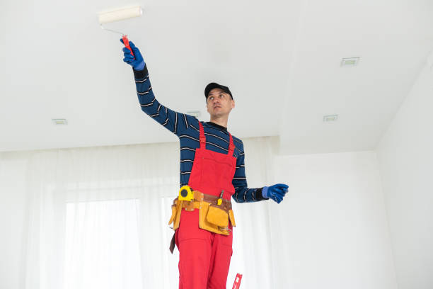 Best Asbestos and Lead Testing During Mold Inspection  in Wellington, CO